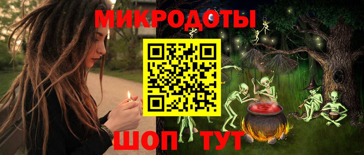 Галлюциногенные грибы Psilocybe Ялуторовск